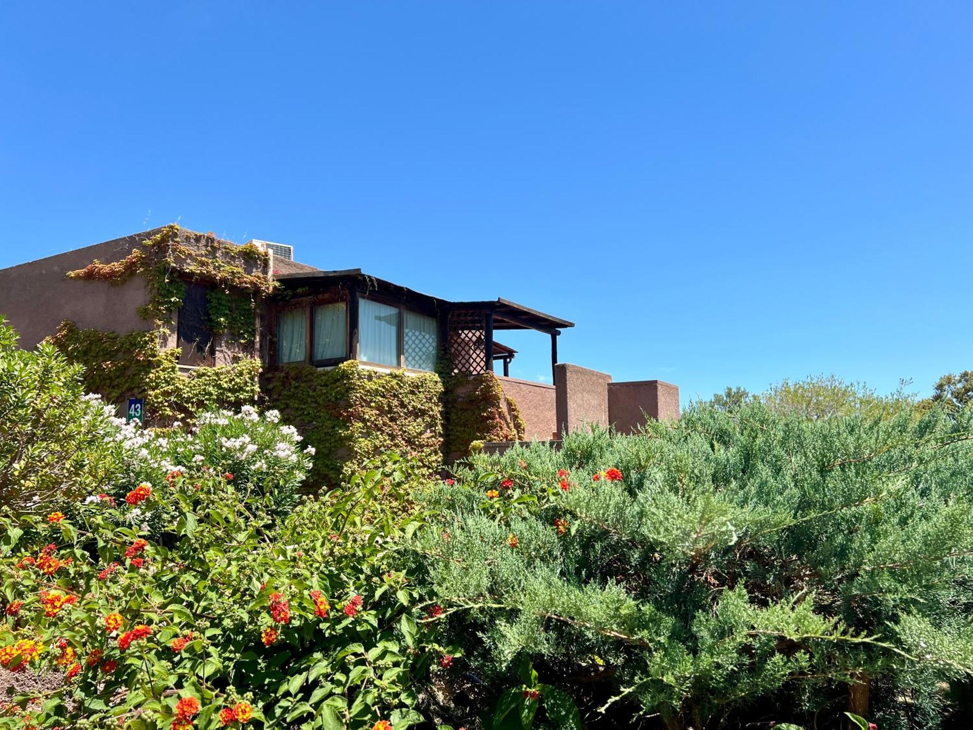 Valentina Home Costa Smeralda Vista Mar Cugnana Verde Exteriör bild